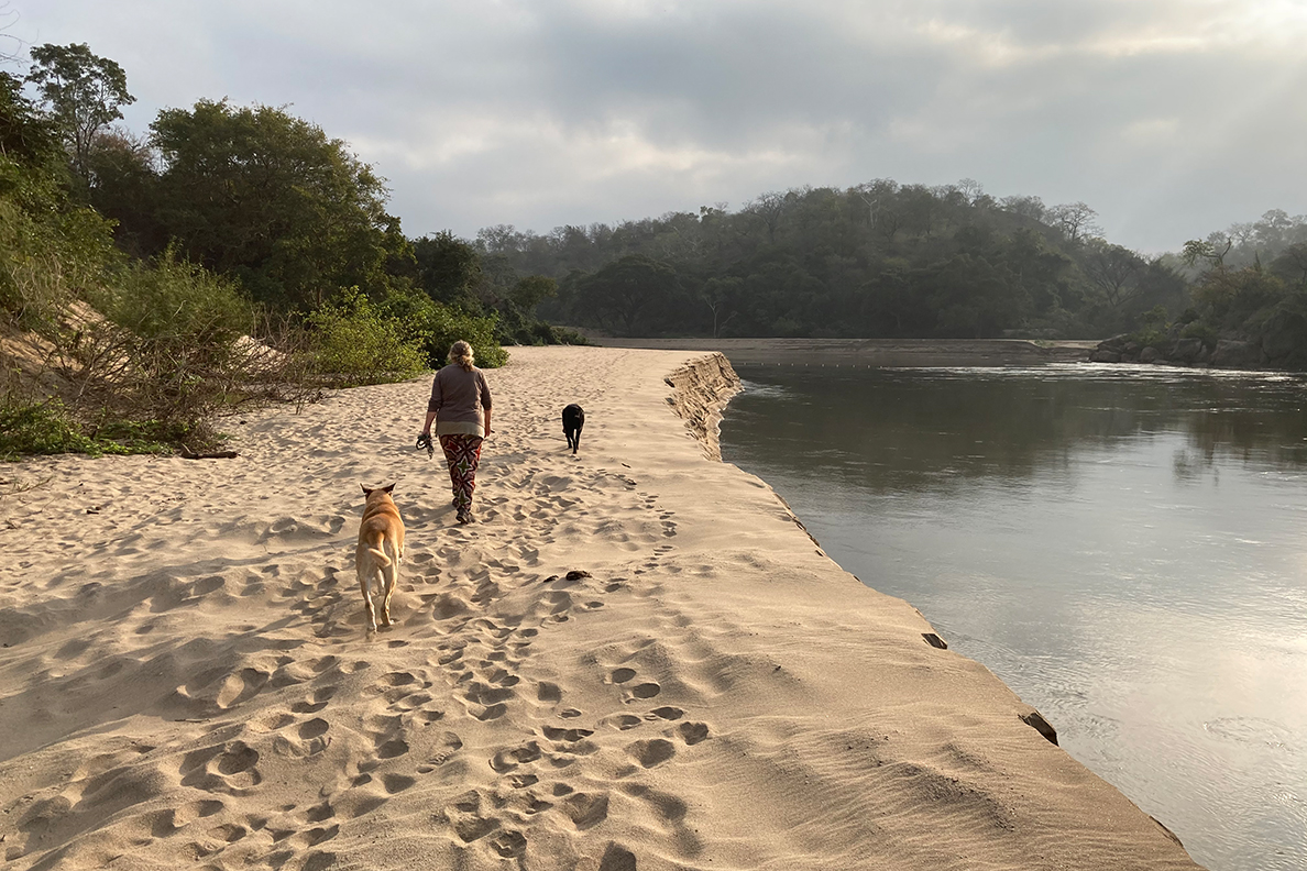 Ng'ona Lodge - Spaziergang am Fluss