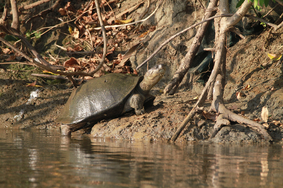Liwonde National Park