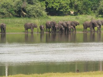 Liwonde National Park Liwonde National Park