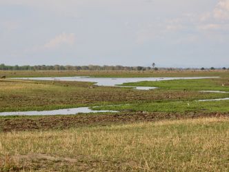 Liwonde National Park Liwonde National Park