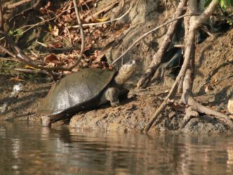 Liwonde National Park Liwonde National Park