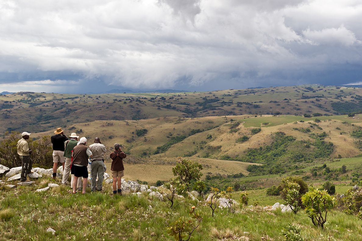 Nyika National Park - Chelinda Lodge Wanderung
