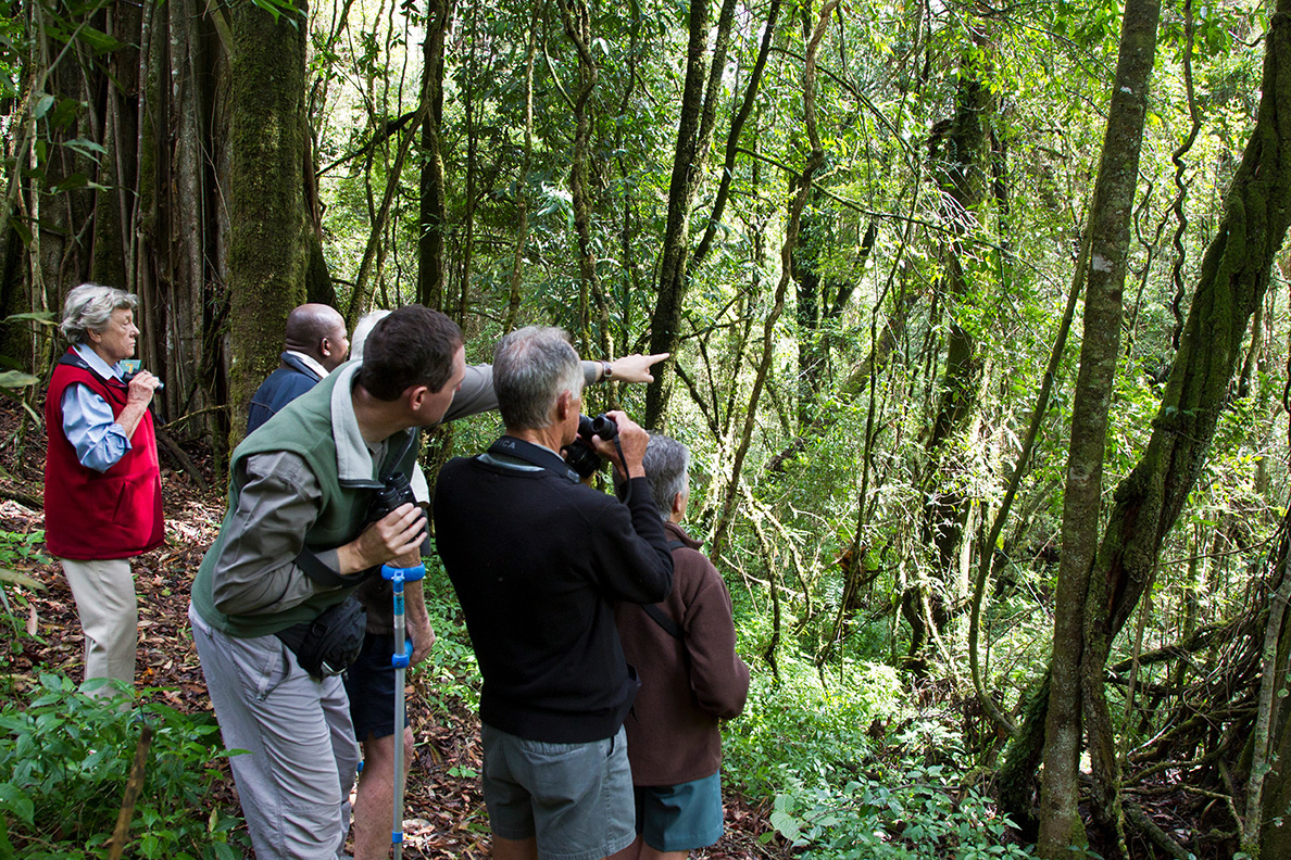 Nyika National Park - Chelinda Lodge Wanderung