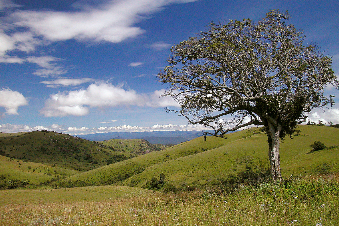 Nyika National Park