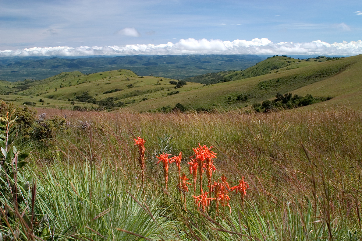 Nyika National Park