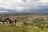 Nyika National Park - Chelinda Lodge Wanderung