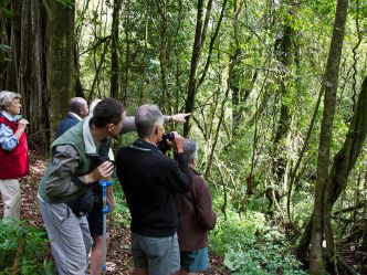 Nyika National Park - Chelinda Lodge Wanderung Nyika National Park - Chelinda Lodge Wanderung