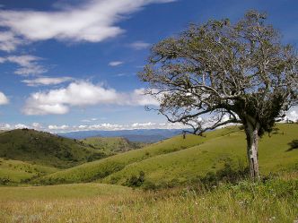 Nyika National Park Nyika National Park