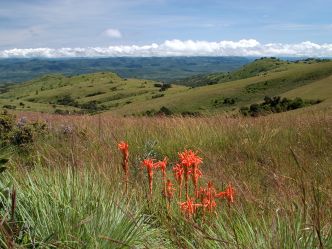 Nyika National Park Nyika National Park