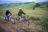 Nyika National Park - Chelinda Lodge Bike Tour