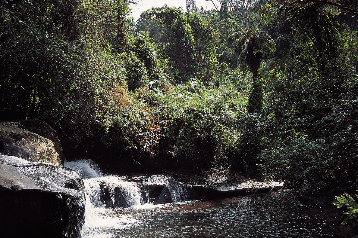 Zomba