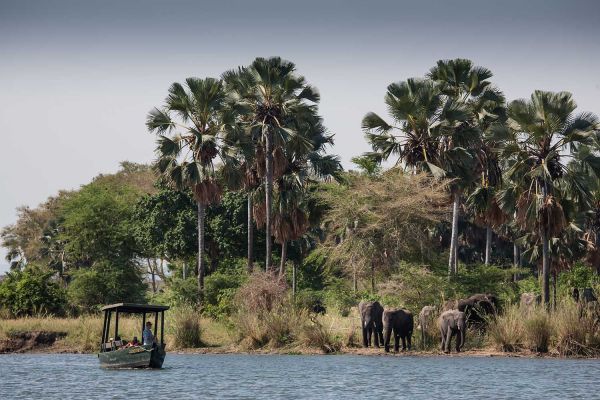 Liwonde &amp; Lake Experience