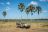 Kuthengo Camp