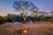 Kuthengo Camp
