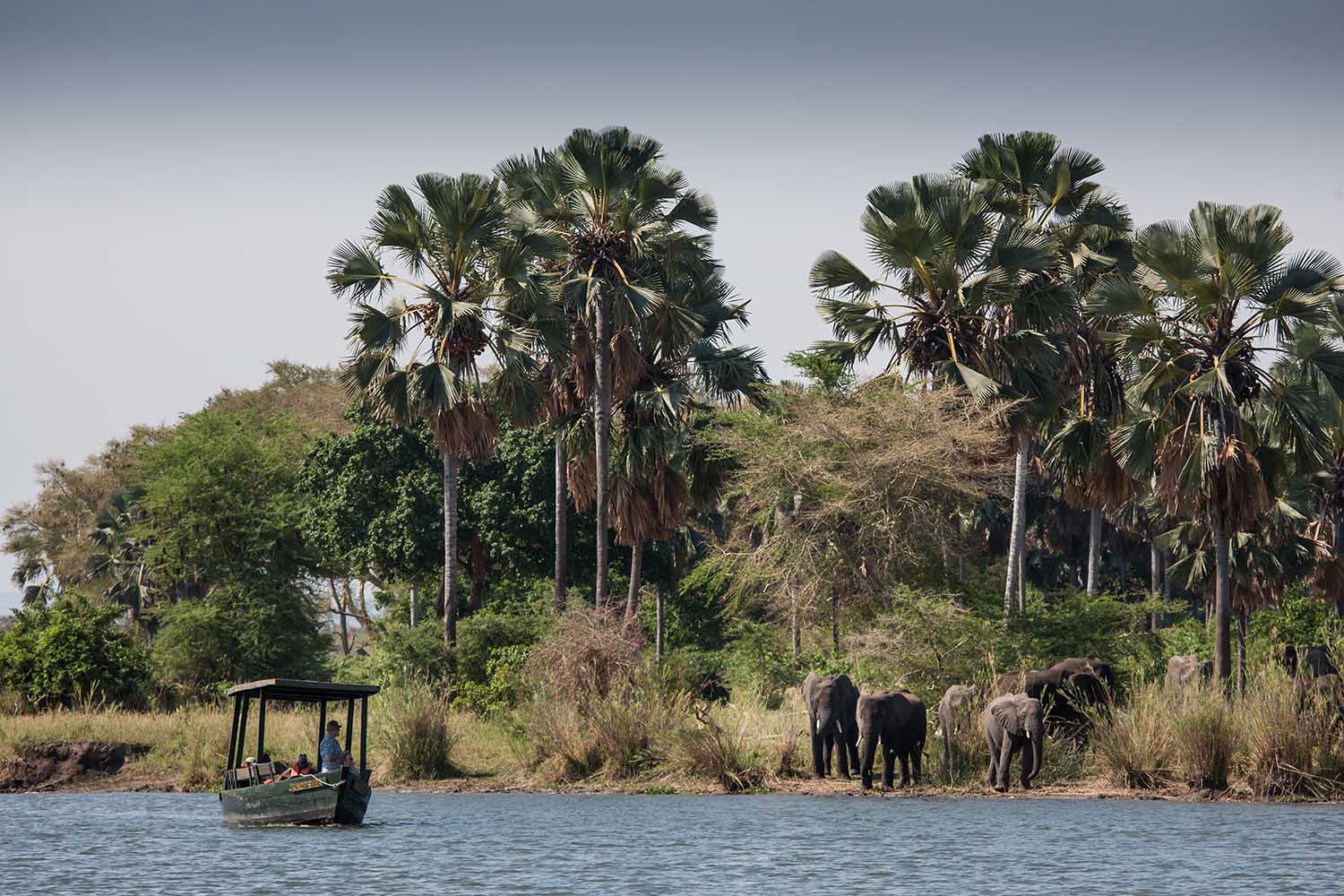 Malawi Highlights - Liwonde National Park