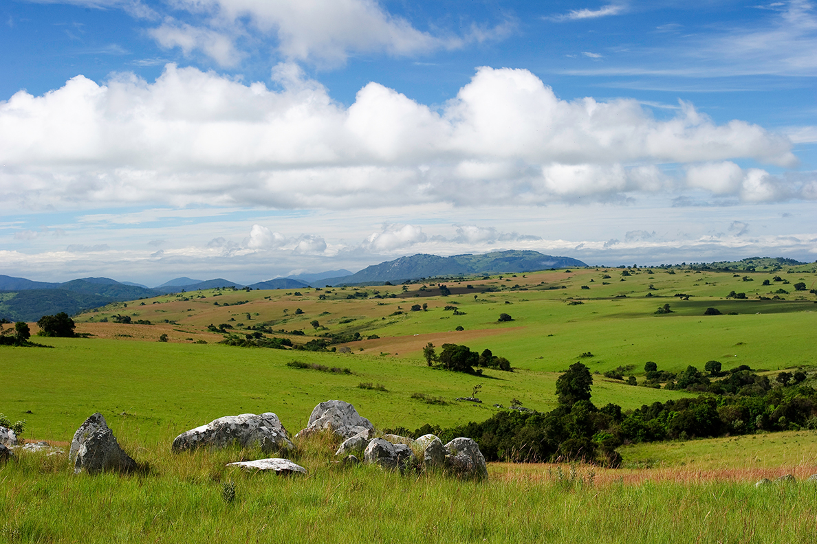 Parks of Malawi - Nyika National Park (Chelinda Lodge)