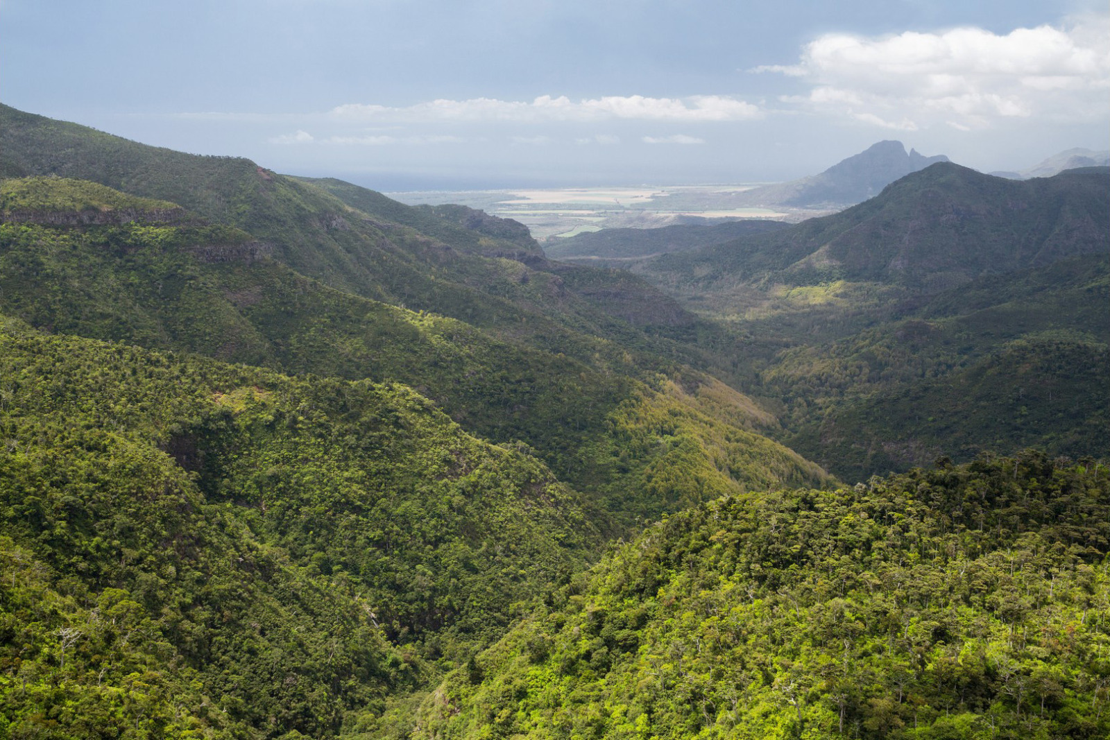 Mauritius (© Grey Hutton)