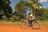 Bush &amp; Beach - Mozambique und Kruger