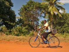 Bush &amp; Beach - Mozambique und Kruger