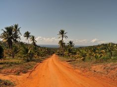 Bush &amp; Beach - Mozambique und Kruger, Strasse in Mozambique