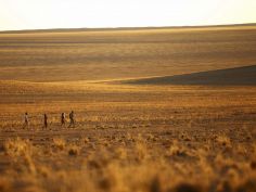 &Beyond Sossusvlei Desert Lodge, Wanderung durch die atemberaubende Landschaft