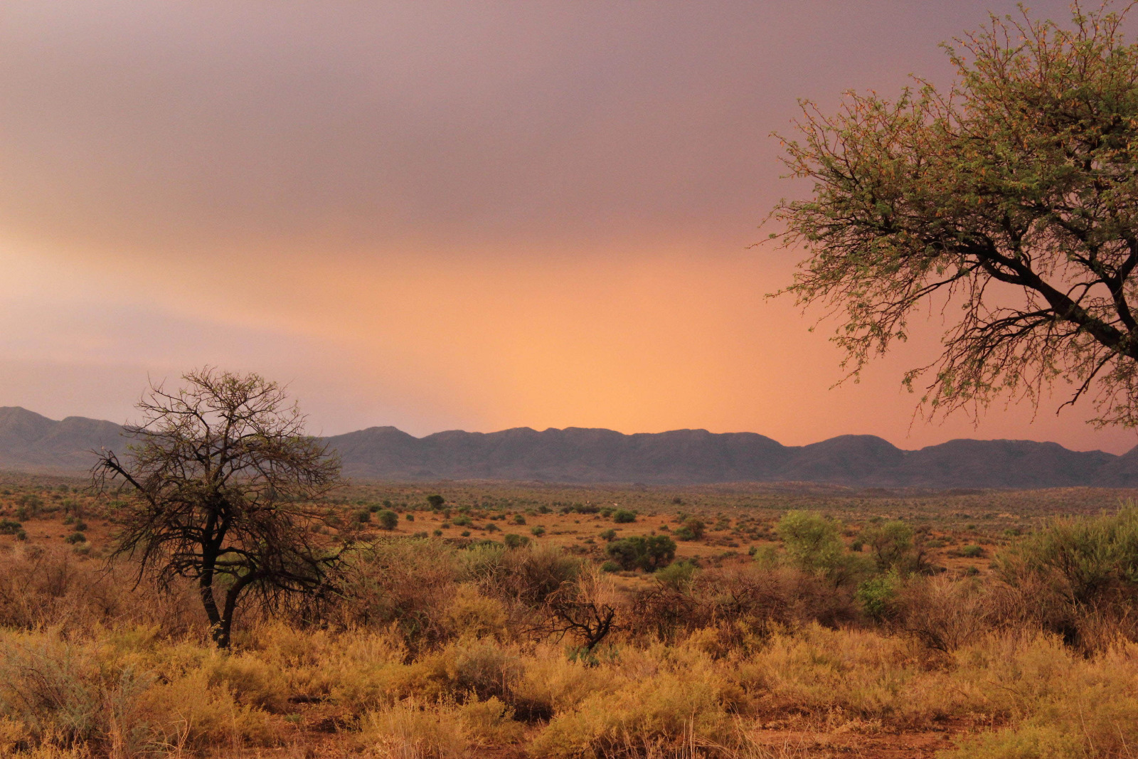 Auas Safari Lodge - Sonnenuntergang in der Steppe