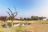 Auas Safari Lodge Auas Safari Lodge