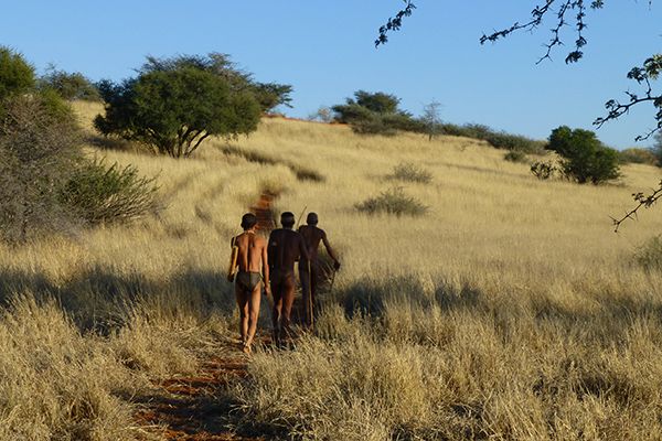 Bagatelle Kalahari Game Ranch