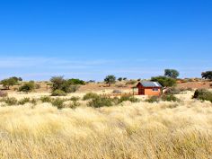 Bagatelle Kalahari Game Ranch, Campsite