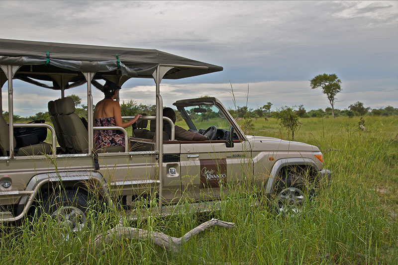 Camp Kwando - Pirschfahrt