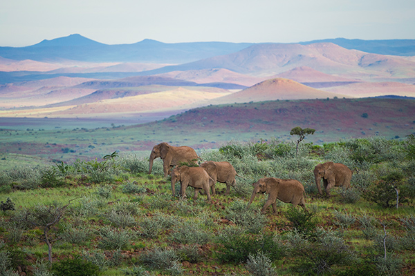 Damaraland Wilderness Camp, Pirschfahrt