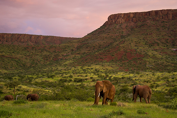 Damaraland Wilderness Camp, Pirschfahrt