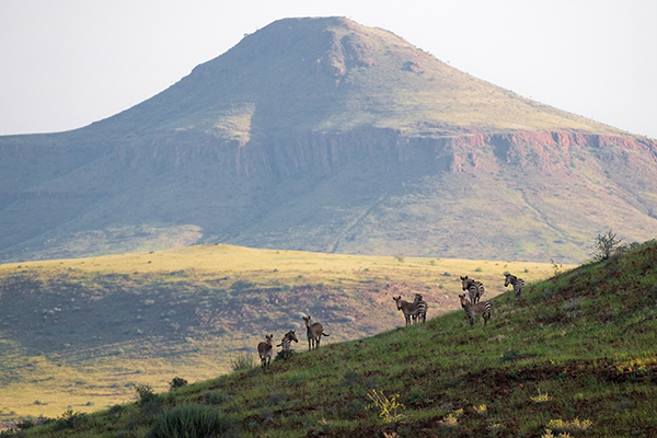 Damaraland Wilderness Camp