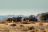 Desert Camp, Sossusvlei