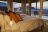 Desert Hills Glamping Camp