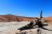 Desert Hills Lodge - Ausflug nach Deadvlei