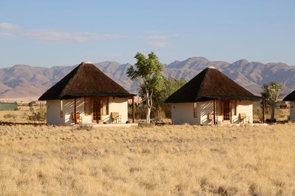 Desert Homestead