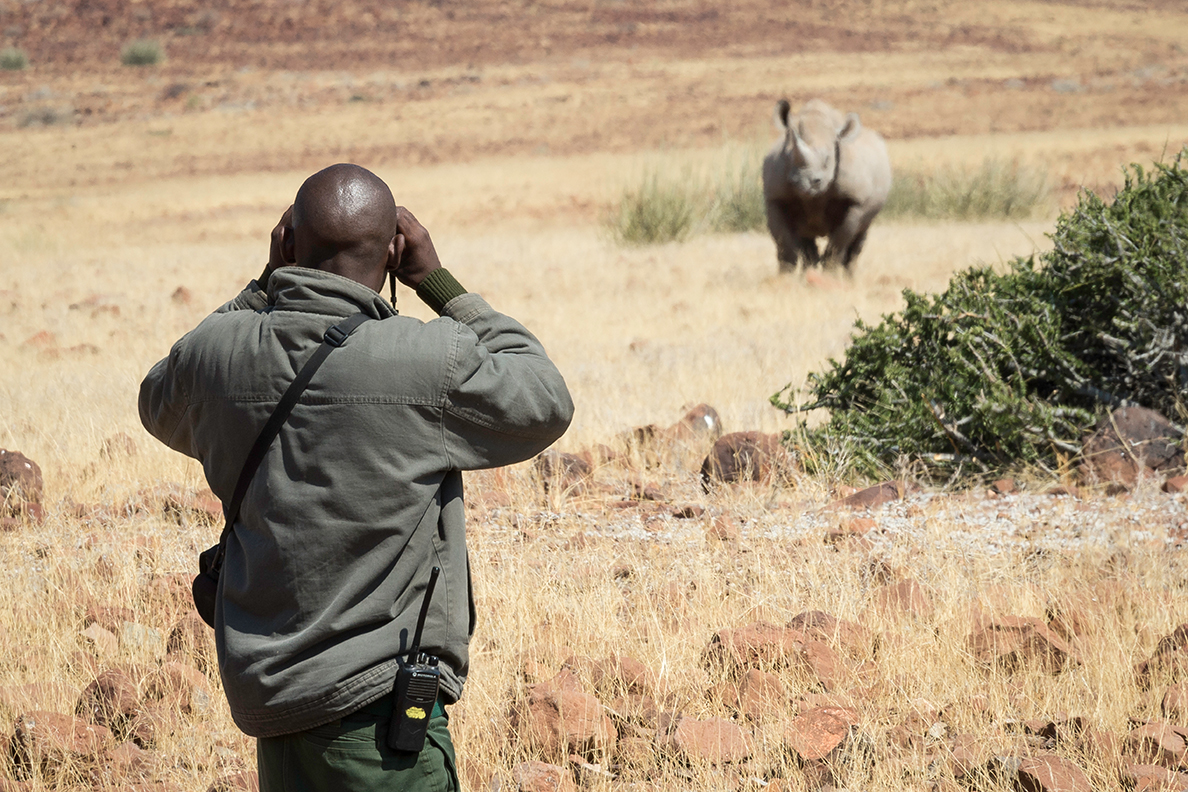 Desert Rhino Camp
