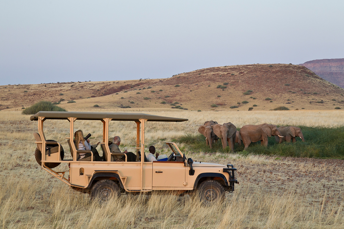 Desert Rhino Camp