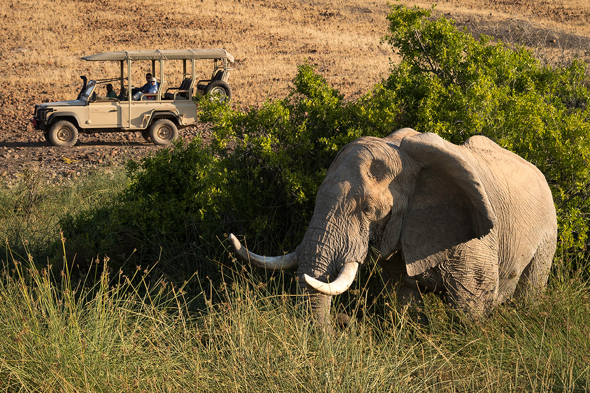 Desert Rhino Camp