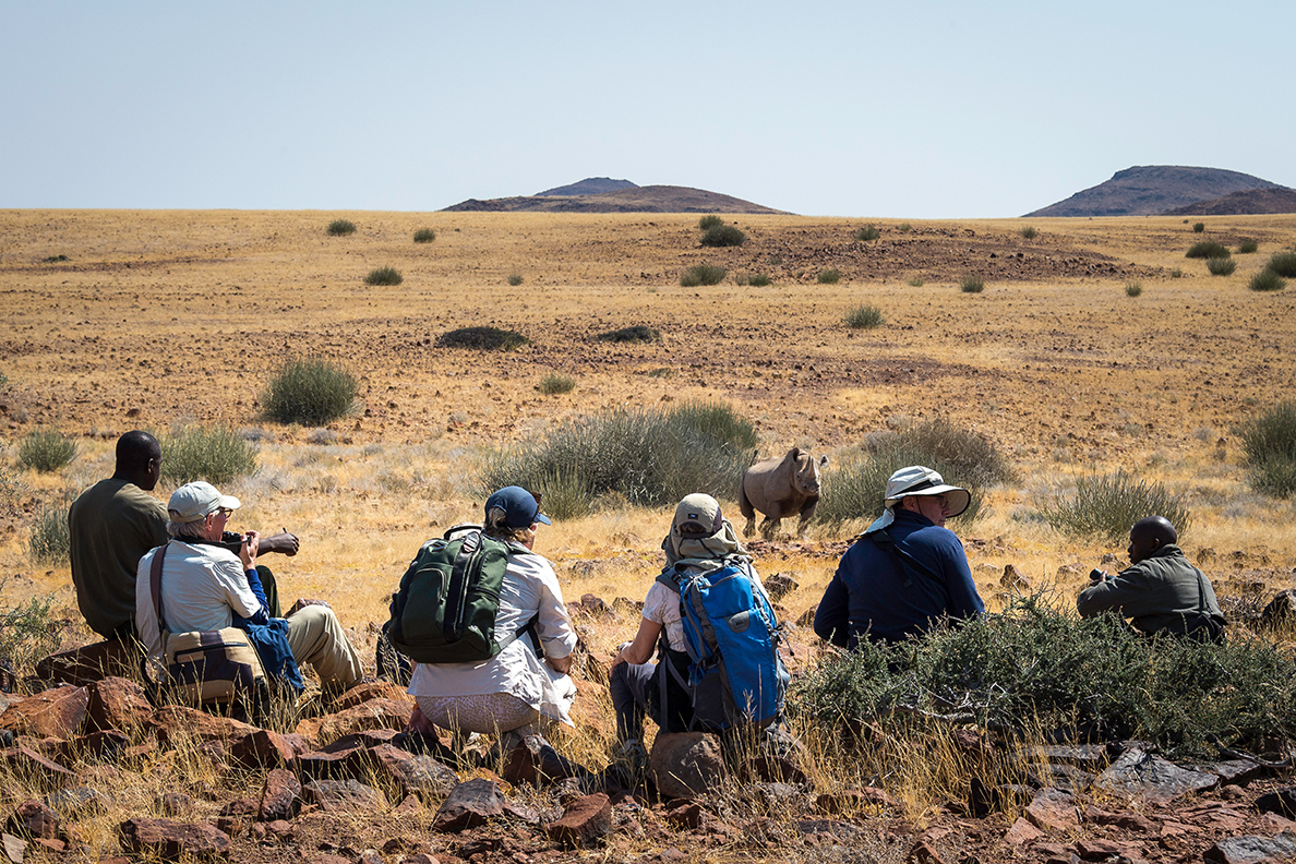 Desert Rhino Camp