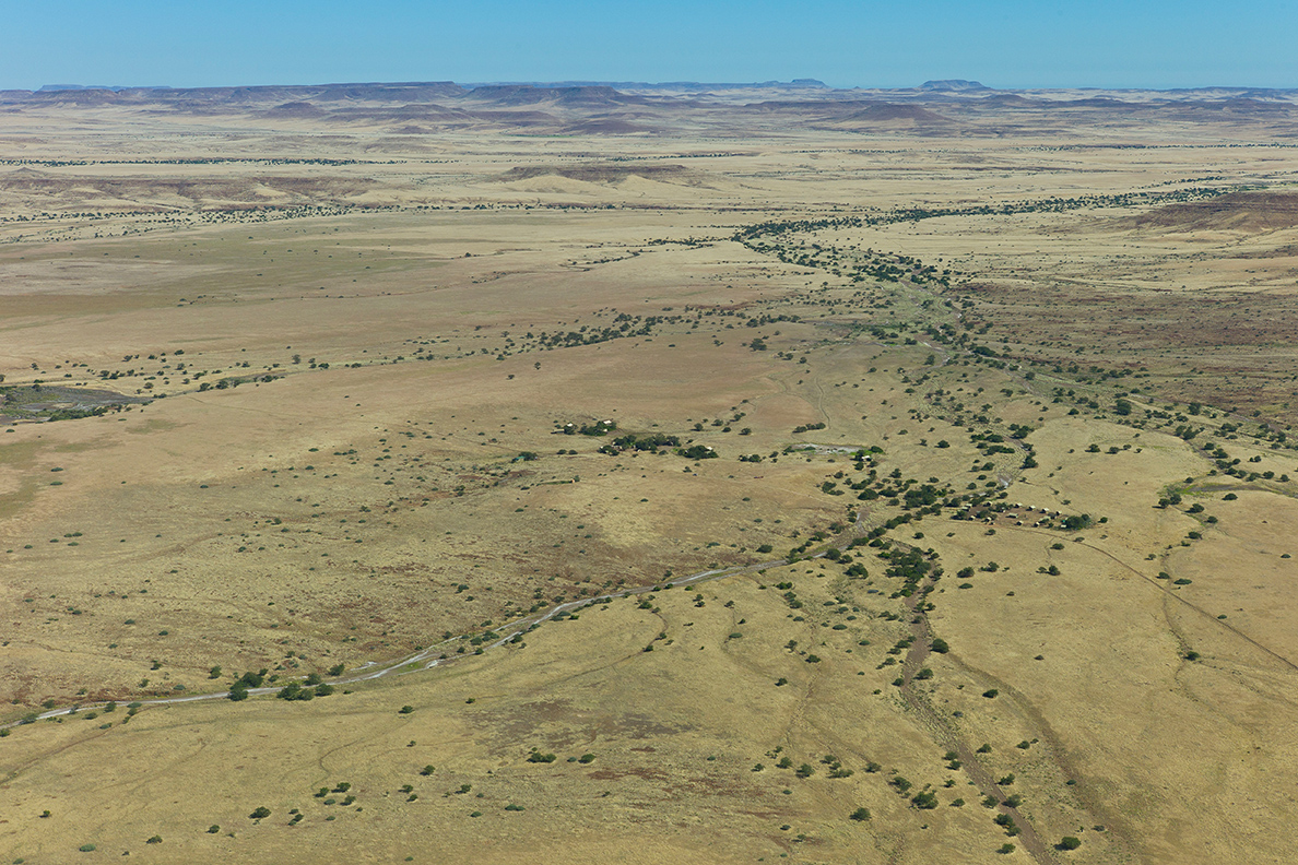 Desert Rhino Camp