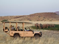 Desert Rhino Camp