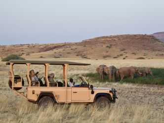 Desert Rhino Camp Desert Rhino Camp