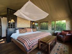 Desert Rhino Camp