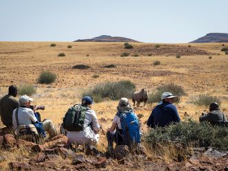 Desert Rhino Camp Desert Rhino Camp