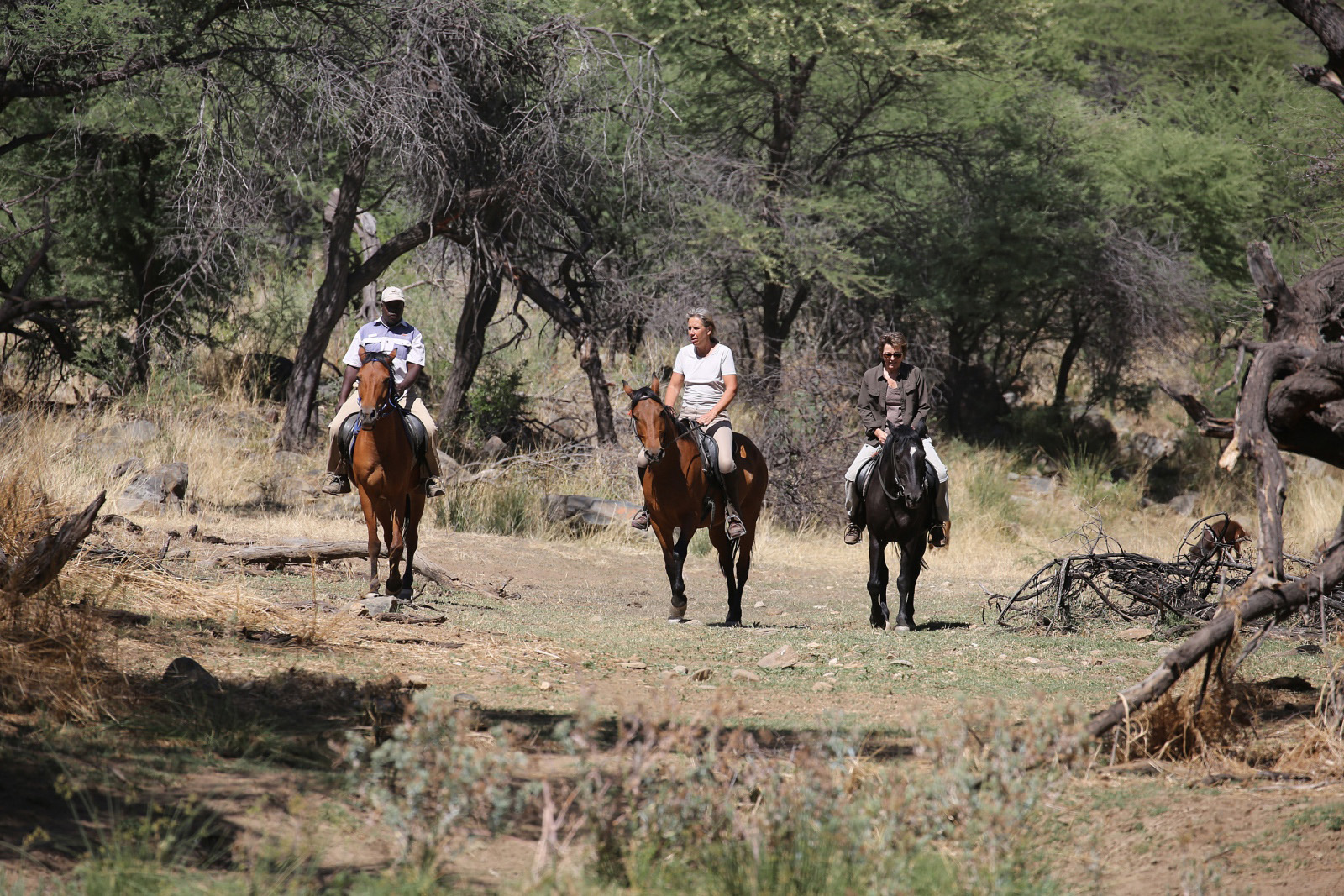 Düsternbrook Guest Farm - Reitausflug