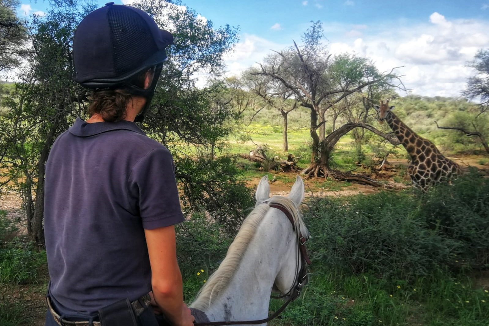 Düsternbrook Guest Farm - Reitausflug
