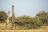 Epacha Game Lodge