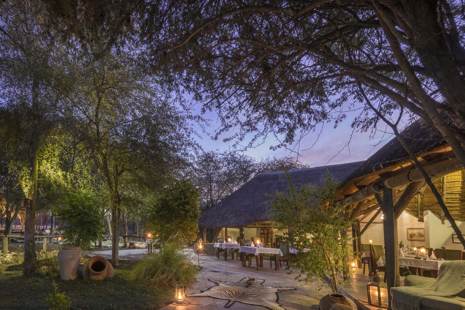 Onguma Forest Camp